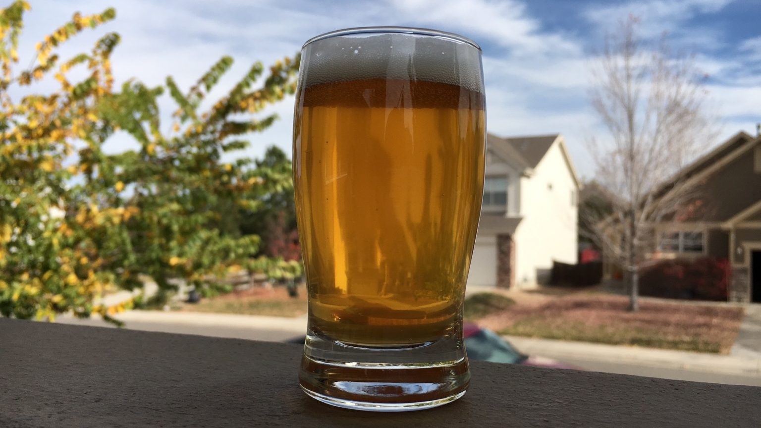 Amazing Cascade Smash Pale Ale Recipe Crafty Canuck