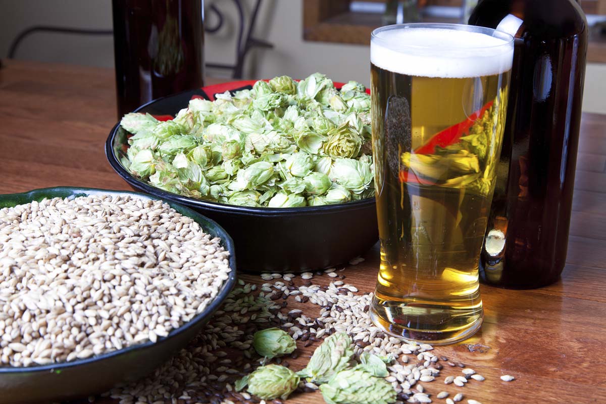 How to Create a Home Brewing Recipe