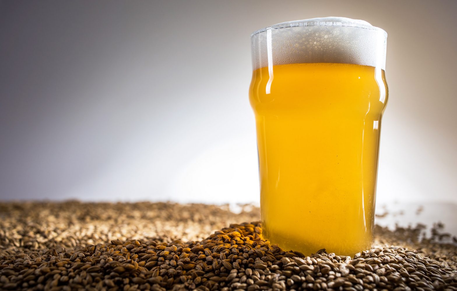 Everything You Need To Know About All Grain Brewing